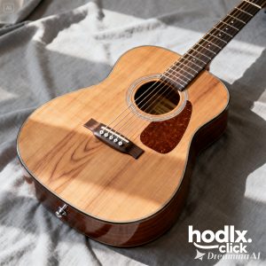 Acoustic Guitar Pro