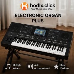 Electronic Organ Plus