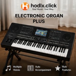 Electronic Organ Plus