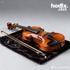 Student Violin Set