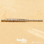 Wood Clarinet Pro