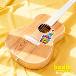 Beginner Acoustic Guitar