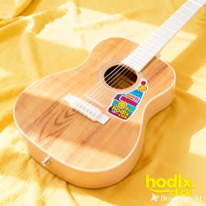 Beginner Acoustic Guitar