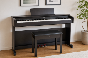 Beginner Digital Piano