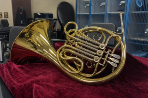 French Horn Student Model
