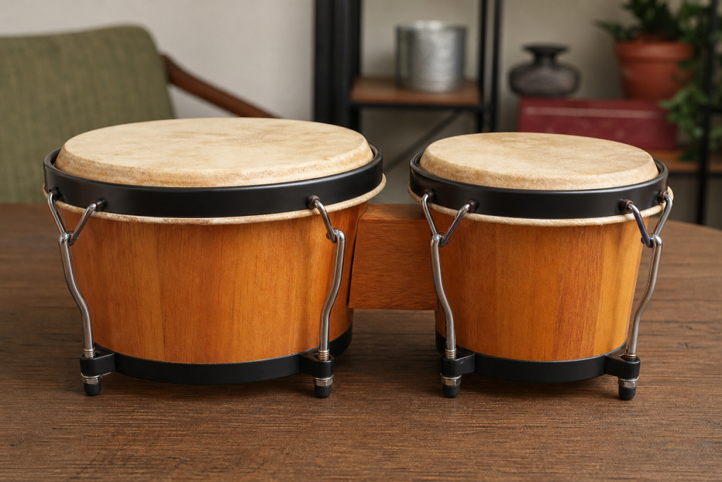 Bongo Drums for Beginners