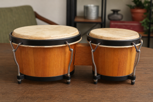 Bongo Drums for Beginners